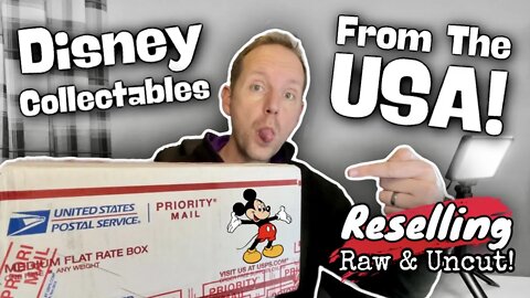 Importing From The USA To Resell | Disney Collectables | eBay Reselling Raw & Uncut