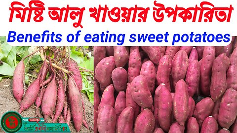 মিষ্টি আলু কেন খাবেন? মিষ্টি আলু খাওয়ার উপকারিতা-Benefits of eating sweet potatoes