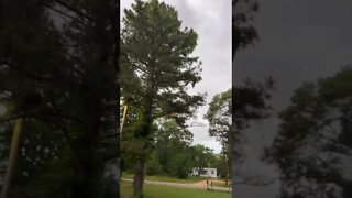 60 MPH Winds In Monticello Arkansas on Sunday May 15th 2022