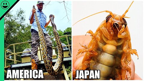 EXOTIC Catch and Cook Around the World!! Top 8 Terrifying HUNTS Caught On Camera!!!