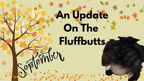 An Update on the Fluffbutts