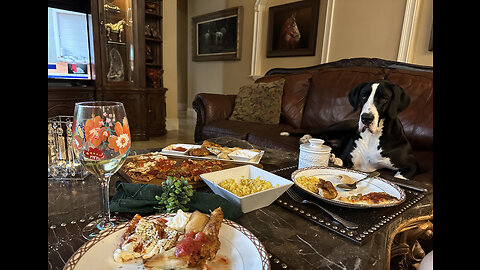 Great Danes Enjoy Hurricane Idalia Comfort Food Awaiting The Storm