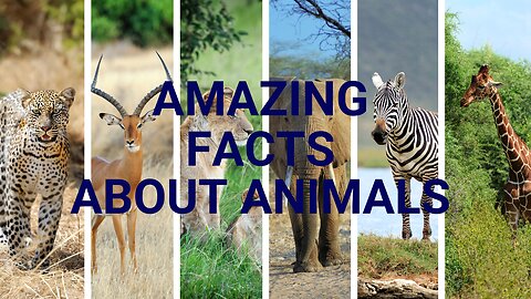 Fascinating Facts about the Animal Kingdom