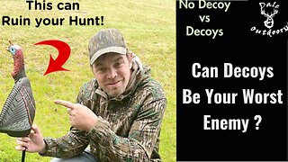 The TRUTH about Decoys/ Can they help or Hurt you?