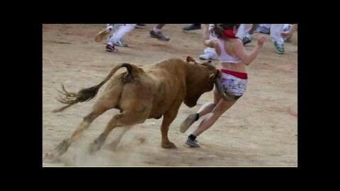Best funny videos 2023 Most awesome bullfighting festival funny crazy bull fails