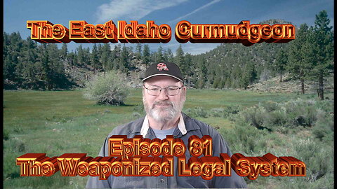 Episode 81 The weaponized legal system