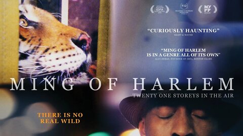 "Ming of Harlem" documentary trailer - Man in Harlem keeps tiger and alligator in apartment.