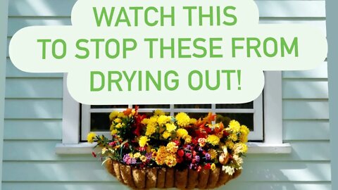 Planting Hanging Baskets & How To Stop Them From Drying Out WATCH THIS / Gardening In Canada 🇨🇦 🌼