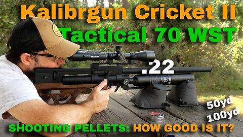 Kalibrgun Cricket II Tactical 70 WST .22 | SHOOTING PELLETS: HOW GOOD IS IT?