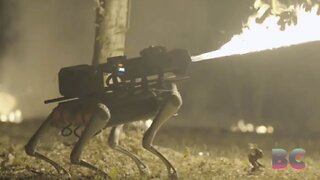 Flame-throwing robot dog is the stuff of nightmares