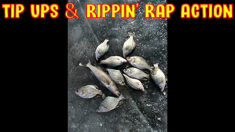 Tip Ups & Rippin' Rap Action