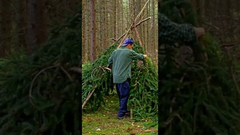 Building a Survival Shelter in the Woods.