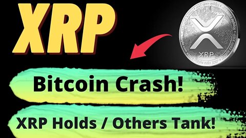 Woohoo! XRP Holds Tight | Ripple News Today