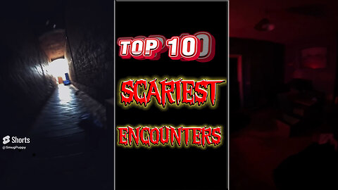 Top 10 Scariest Encounters!