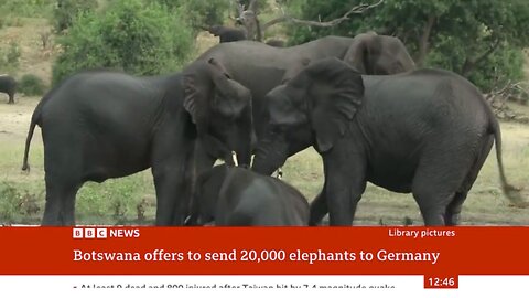 Botswana threatens to send 20,000 elephants to Germany | BBC News