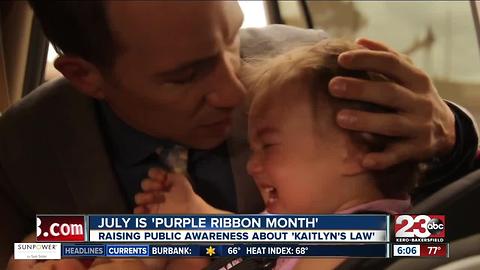 Events around Bakersfield commemorate "Purple Ribbon Month"