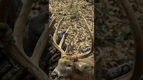 BIGGEST 8 point EVER killed in Missouri with a Bow! #bowhunting #recordbreaker