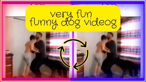 😁 Very Fun 🐶 Funny Dog ​​Video 🤗