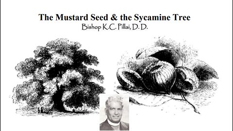 THE MUSTARD SEED & THE SYCAMINE TREE *Bishop K.C. Pillai