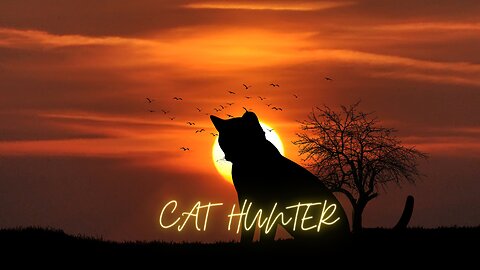 CAT HUNTER