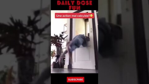 Funny Fails 2022 - Daily Dose Fun