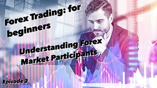 "Understanding Forex Market Participants - Forex Trading for Beginners"