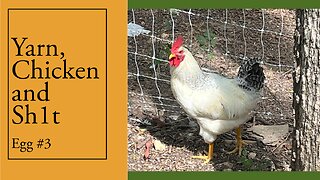 Yarn, Chicken and Sh1t Egg No. 3