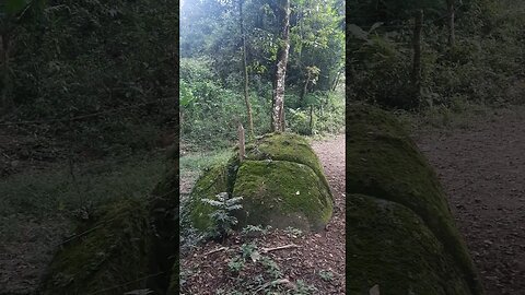 NA ESTRADA JOSE LOPES TAIPAS CANTAREIRA CAVALOS NO SITIO