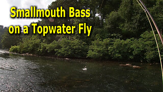 Fly Fishing for Small Mouth Bass - Finally! Success!