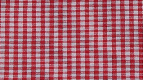 Gingham Pattern Cloth Liner Red Review