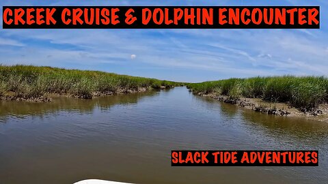 A Scallywag Saltwater Creek Cruise with a Dolphin Encounter and a Visit to Fort Frederica Monument