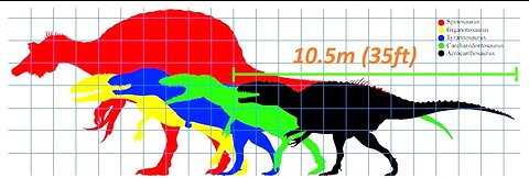 Acrocanthosaurus, a smaller cousin of spinosaurus