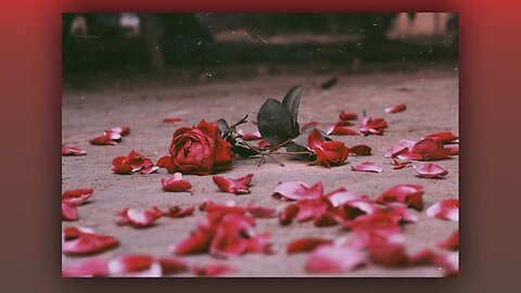 A Rose Trampled on the Ground