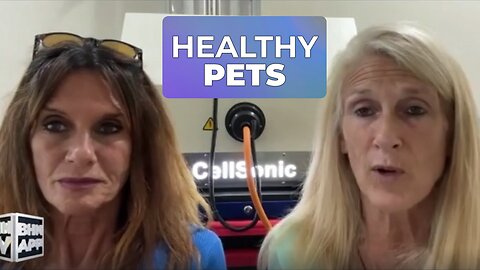 THE DEENA & DEBBIE SHOW DOG GONE HEALTHY PET SHOW