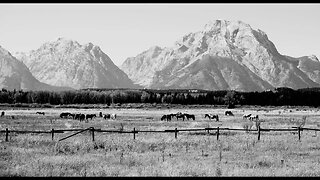 Exploring Tetons of Wyoming- Grizzly, Jackson, Fall Colors, Snake River, Dedicated to Viet Vets...