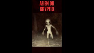 Alien or Cryptid? Unveiling the Brazilian Mystery