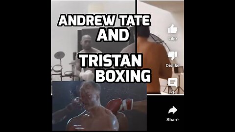 Andrew Tate and Tristan Boxing Rocky style
