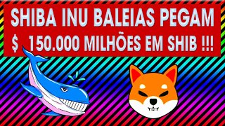 SHIBA INU BALEIAS PEGAM $ 150 000 000 MILHÕES EM SHIB !!!