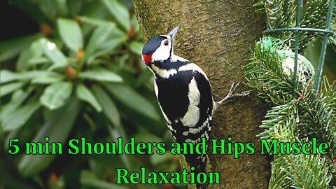 5 min Shoulders and Hips Muscle RELAXATION MEDITATION.