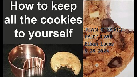 JUAN O SAVIN- Cookies and Data Dumps- PART TWO Lightborn.TV 5 28 2024