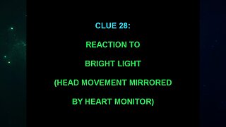 Clue 28 (The "Alien Interview" Video Analysis 2013/2014/2015)