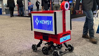 Consumer Electronics Show Gives Glimpse At Different Future