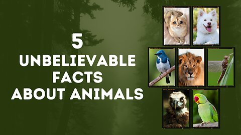 5 Fun Facts Abouts Animals