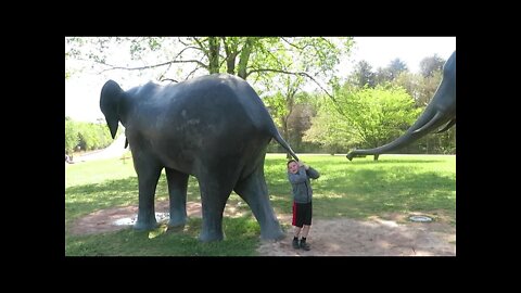 North Carolina Zoo (Asheboro, NC) - come walk with me, Steve Martin (#1 of 11 short videos)