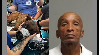 BREAKING: Man Accused of Stabbing Las Vegas K9 'Enzo' Allegedly Wanted for Murder in Missouri