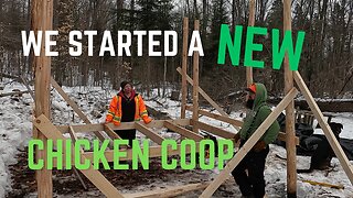 We started building a NEW Chicken Coop - Pt 1