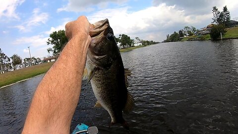 One Last Cast For a 5 Pound Bass!