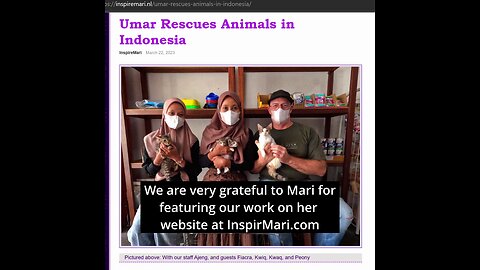 inspiremari.nl/ - An Irish man rescuing kittens in Indonesia
