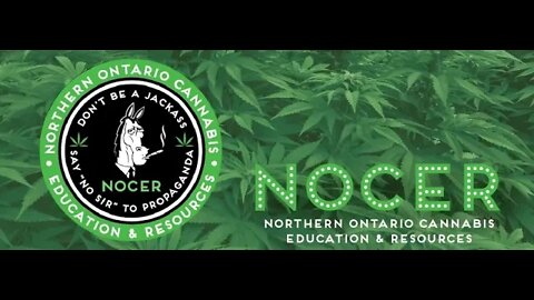 NOCER.ca Web Page Launch