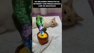 enchendo o saco do gato